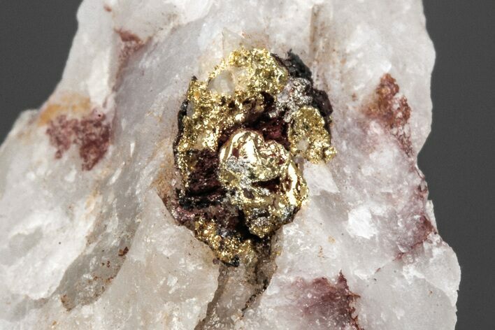 Native Gold Formation in Quartz - Morocco #213536